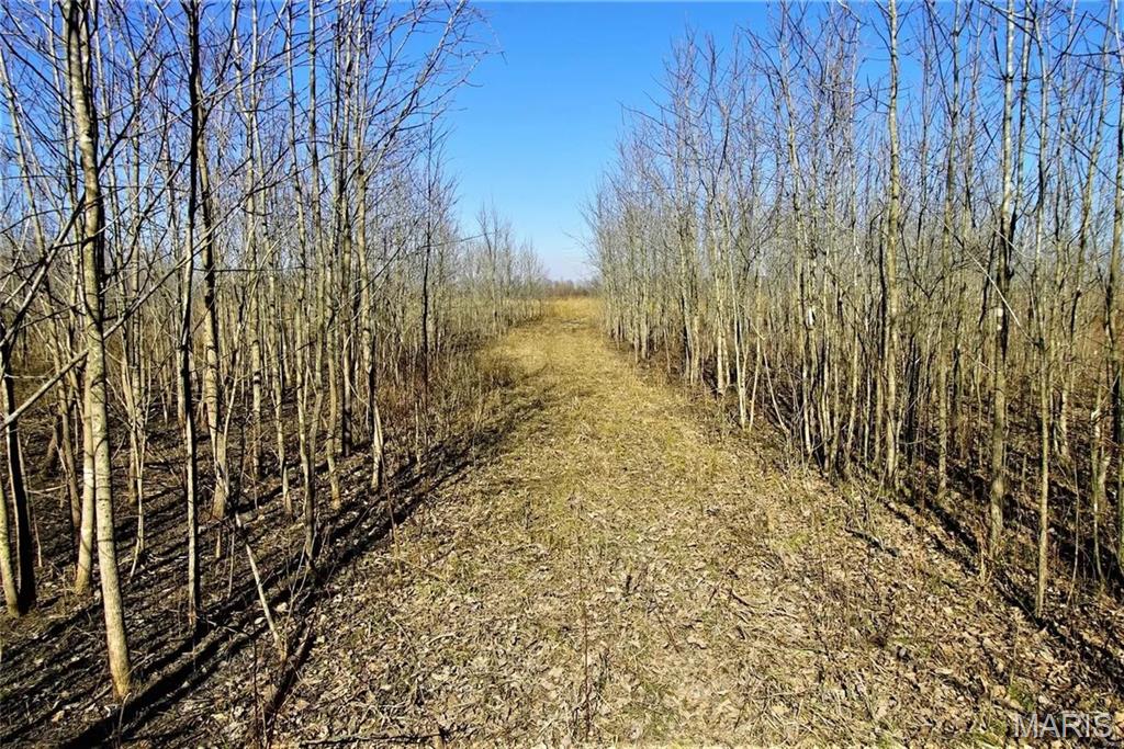 0 State Highway 53 Property Photo 15