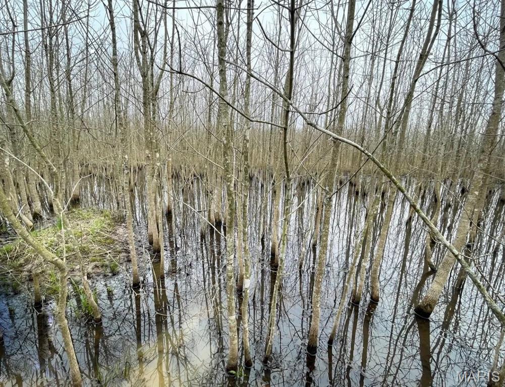 0 State Highway 53 Property Photo 16