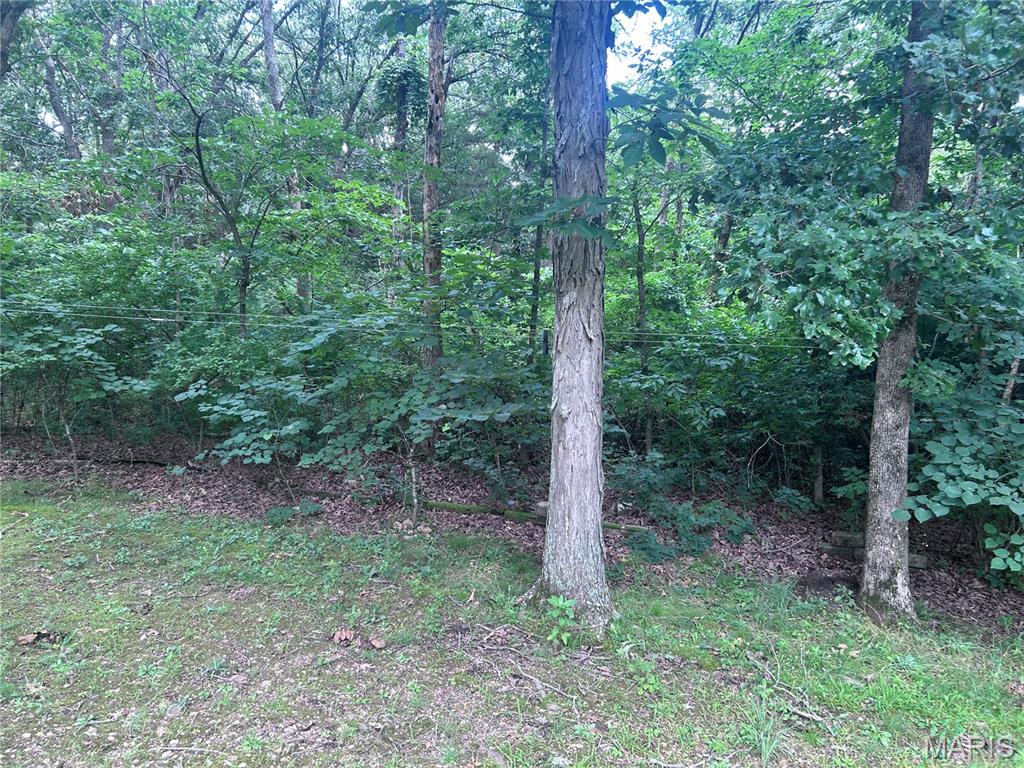 700 Lakeshore Drive Property Photo 61
