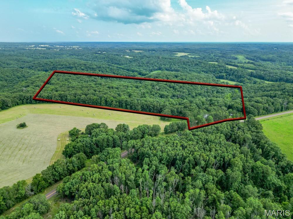 13180 Hwy Nn Property Photo 33