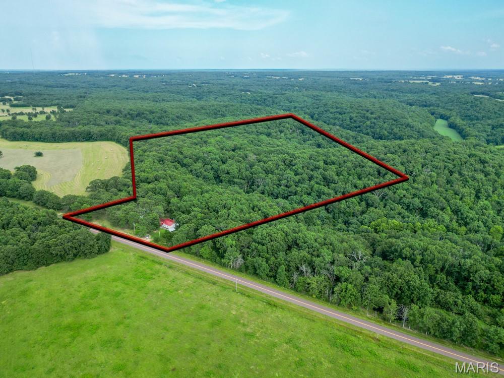 13180 Hwy Nn Property Photo 35