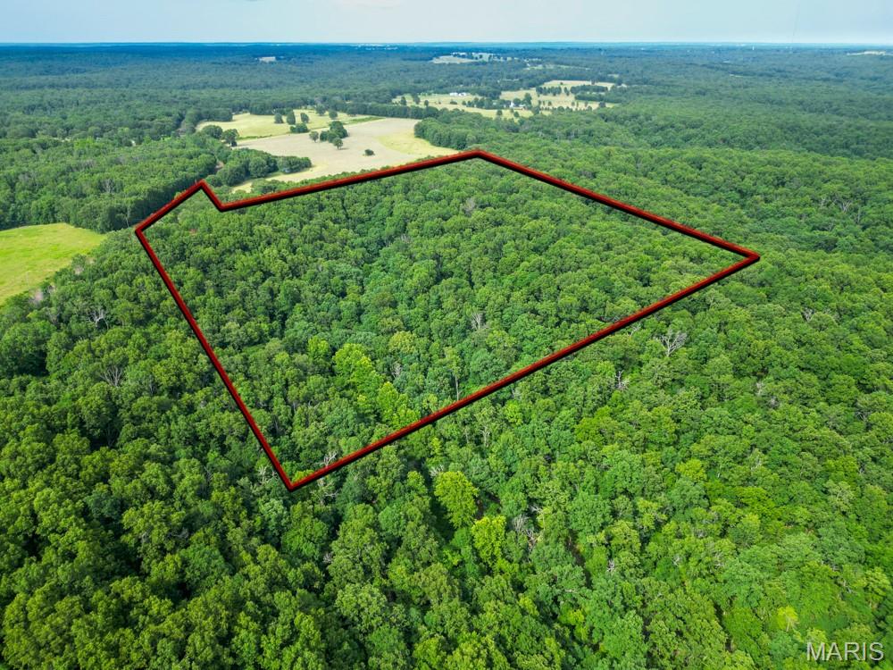 13180 Hwy Nn Property Photo 36