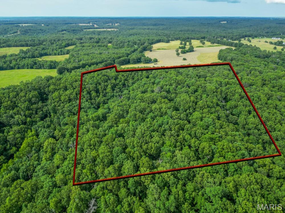 13180 Hwy Nn Property Photo 37