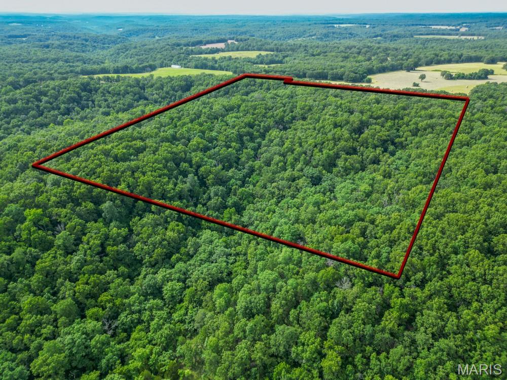 13180 Hwy Nn Property Photo 38