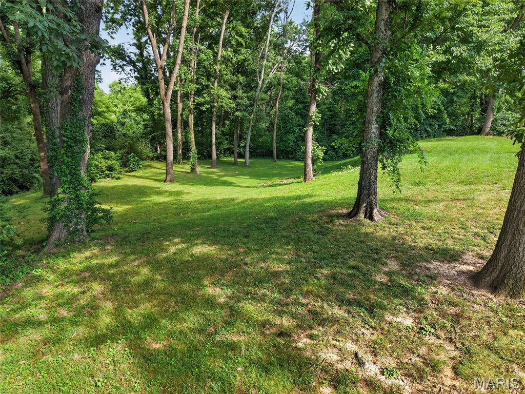412 Willow Creek Drive Property Photo 62