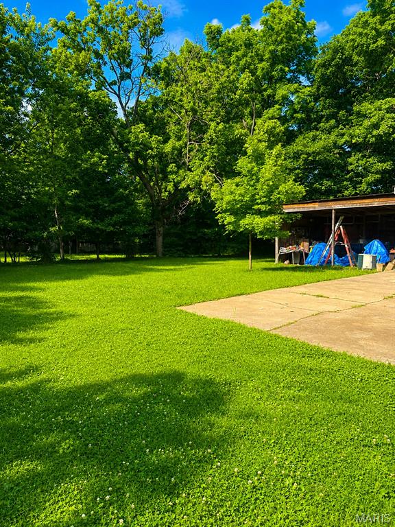 413 Reis Road Property Photo 6