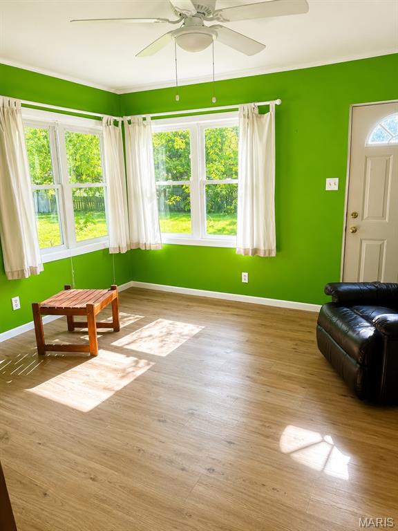 413 Reis Road Property Photo 8