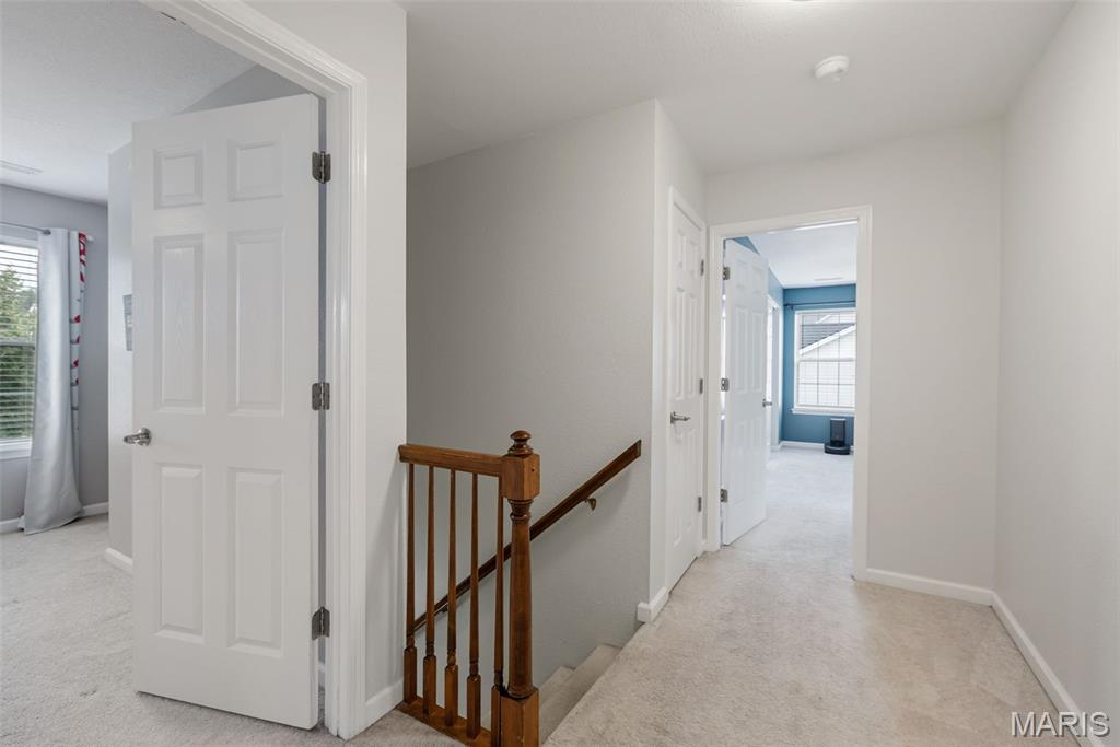 203 Richmond Drive Property Photo 22