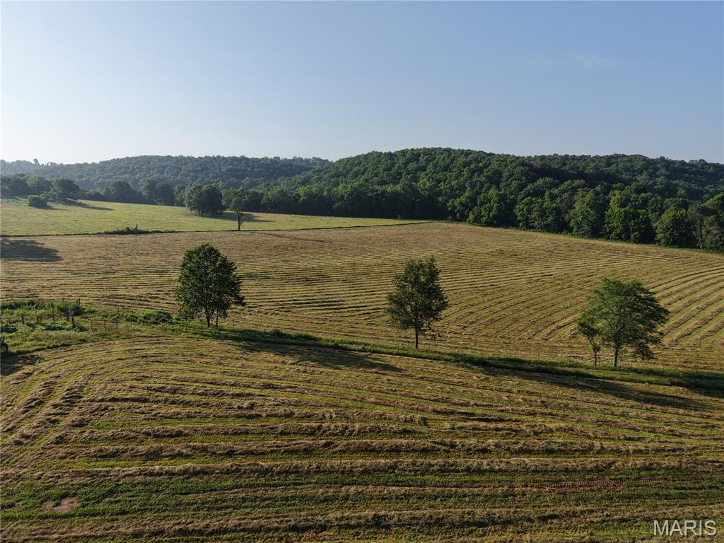 193 Mcfarland Hill Property Photo 33