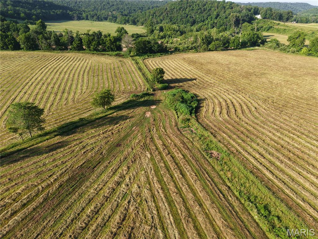 193 Mcfarland Hill Property Photo 34