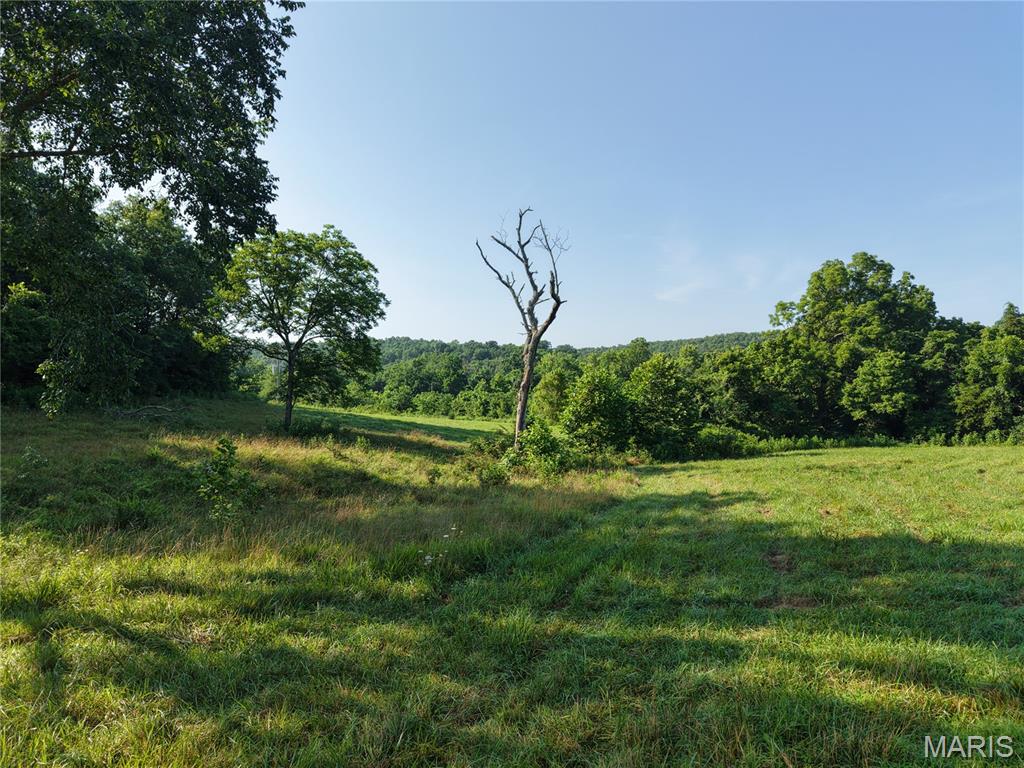 193 Mcfarland Hill Property Photo 43