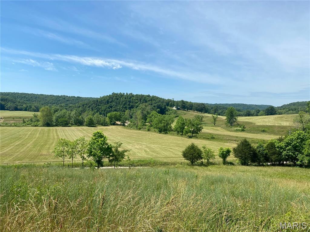 193 Mcfarland Hill Property Photo 57