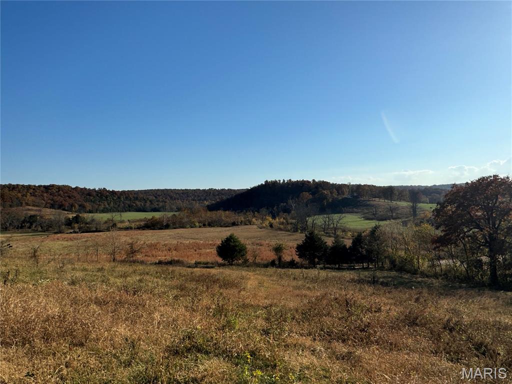 193 Mcfarland Hill Property Photo 64