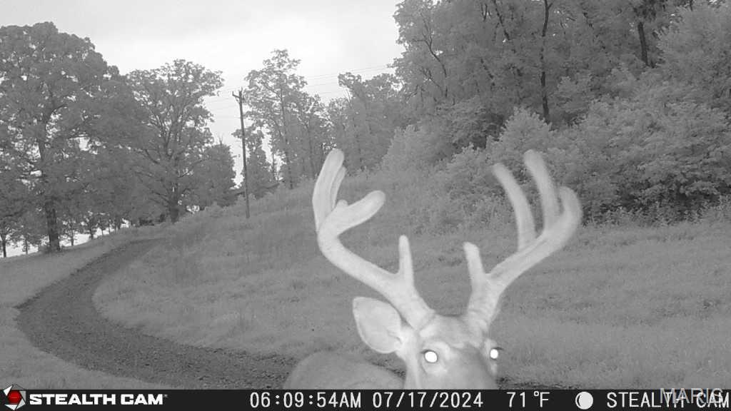 193 Mcfarland Hill Property Photo 67