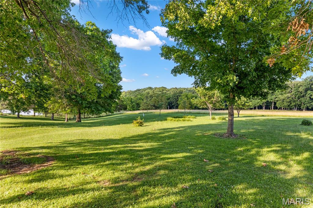 794 Linns Mill Road Property Photo 12