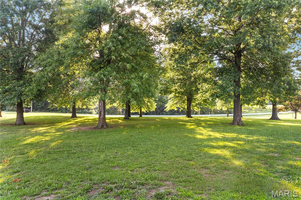 794 Linns Mill Road Property Photo 15