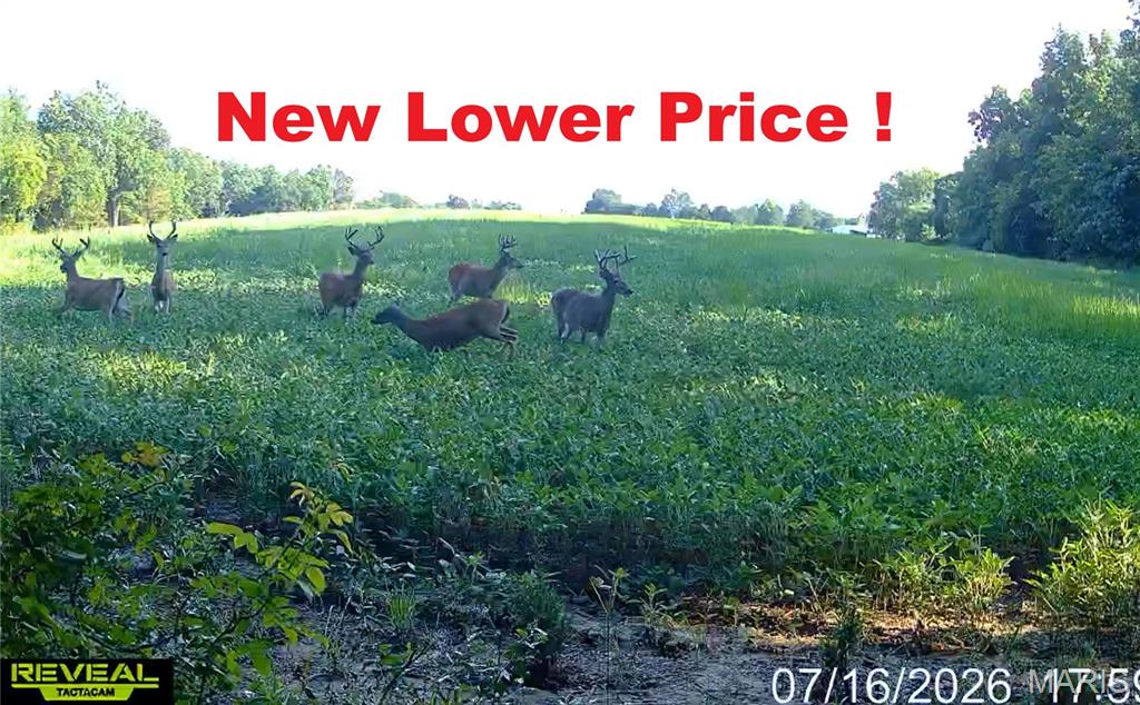 920 S Poplar Camp Road Property Photo 1