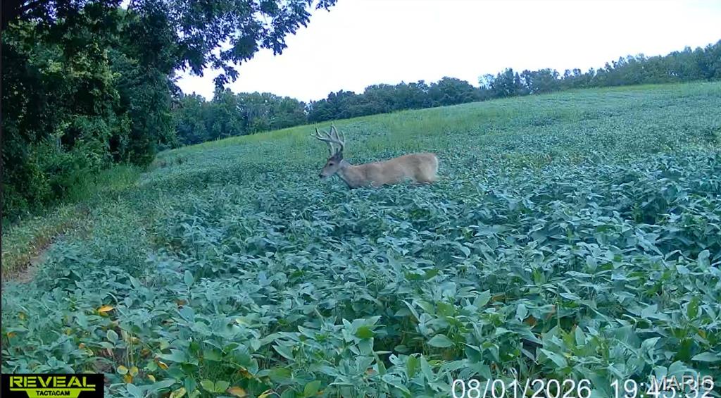 920 S Poplar Camp Road Property Photo 6