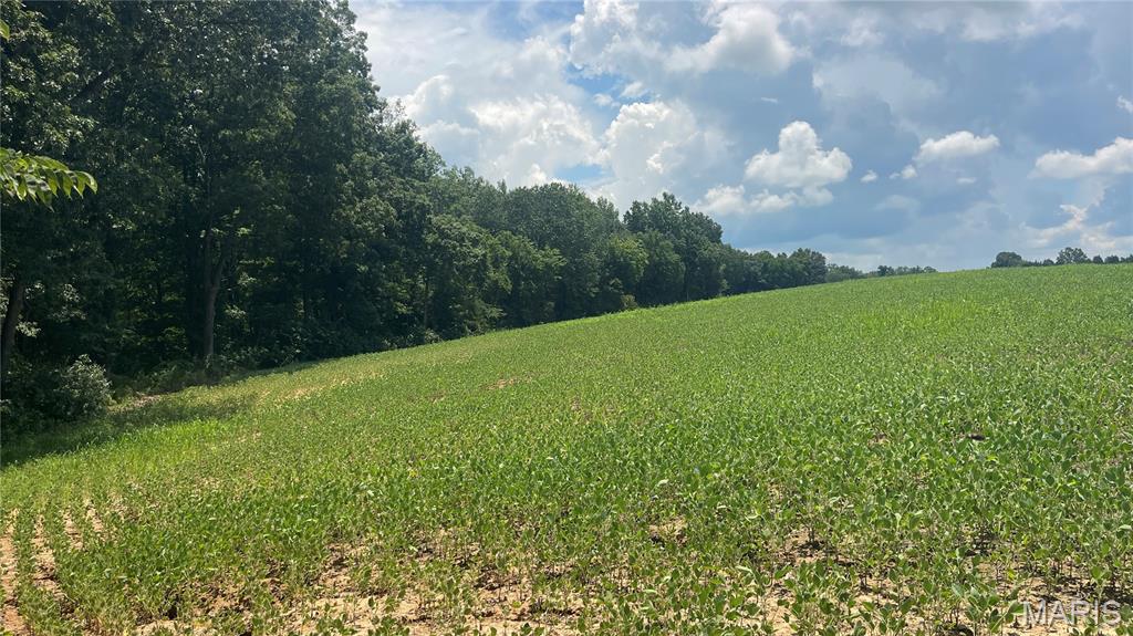 920 S Poplar Camp Road Property Photo 17
