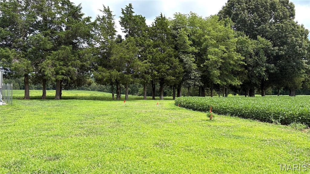920 S Poplar Camp Road Property Photo 20