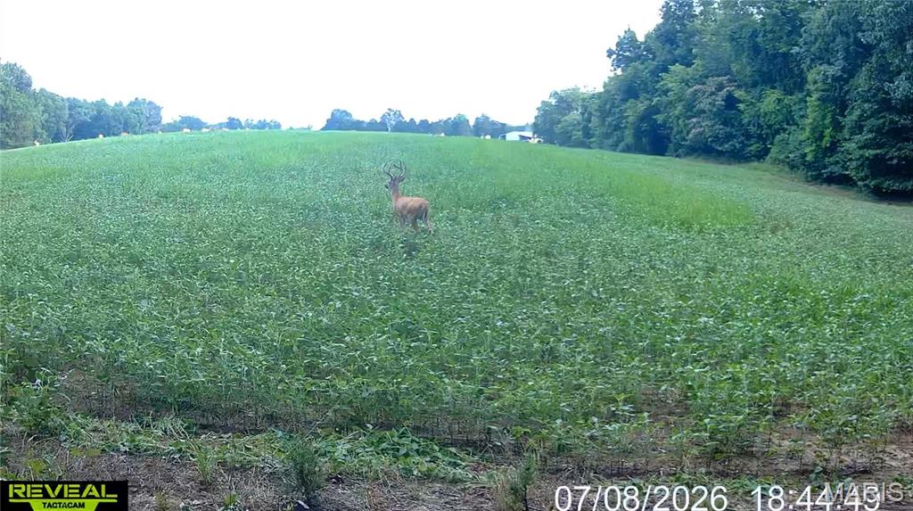 920 S Poplar Camp Road Property Photo 22