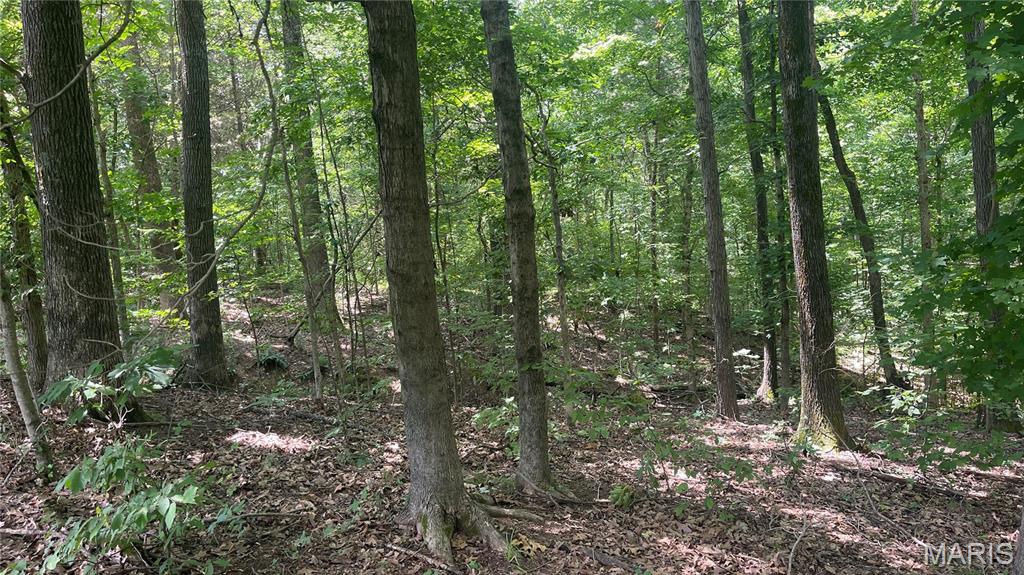 920 S Poplar Camp Road Property Photo 23