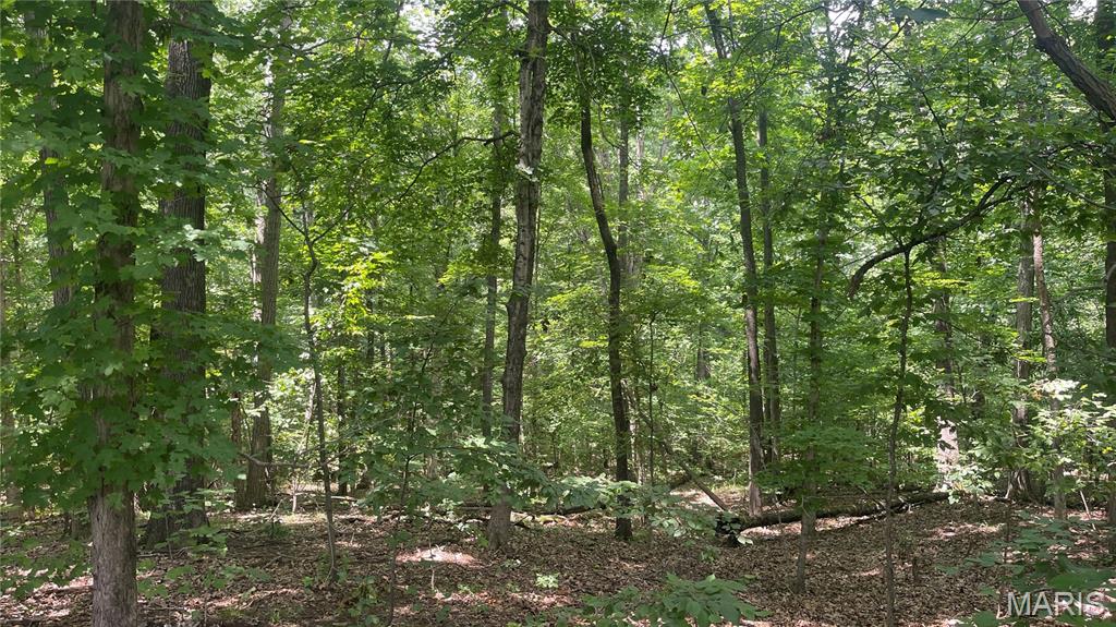 920 S Poplar Camp Road Property Photo 26
