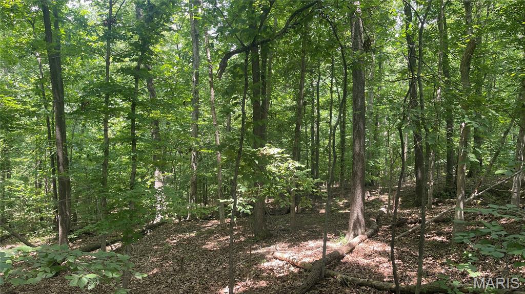 920 S Poplar Camp Road Property Photo 27
