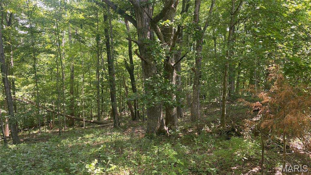 920 S Poplar Camp Road Property Photo 28