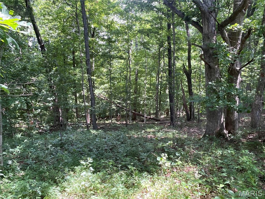 920 S Poplar Camp Road Property Photo 29