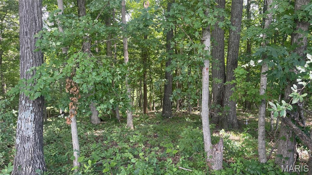 920 S Poplar Camp Road Property Photo 31