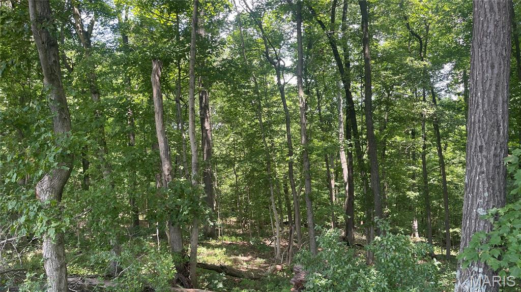 920 S Poplar Camp Road Property Photo 32