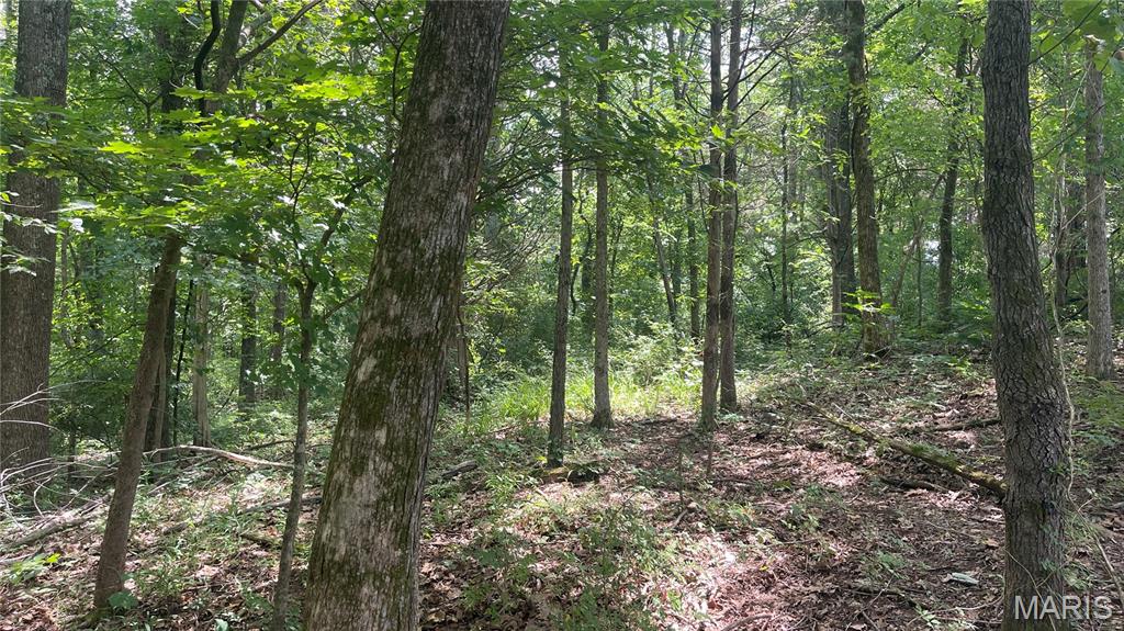 920 S Poplar Camp Road Property Photo 33