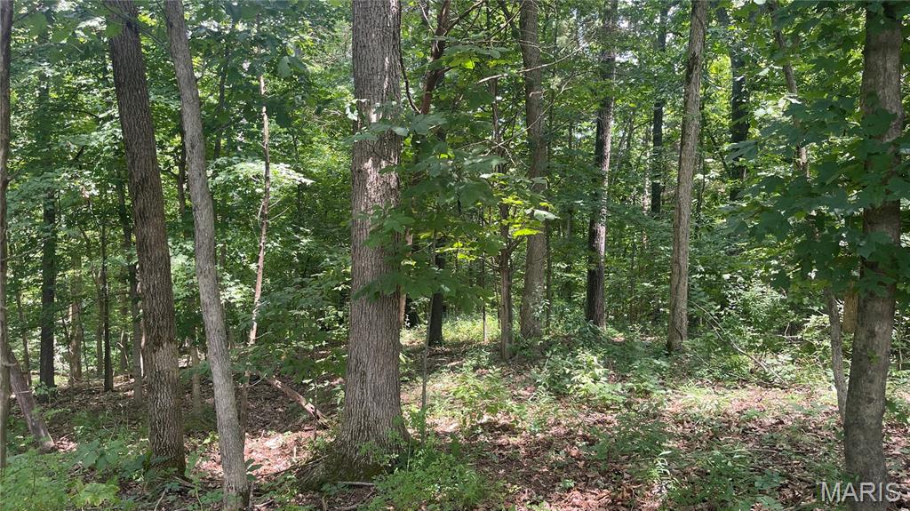 920 S Poplar Camp Road Property Photo 36