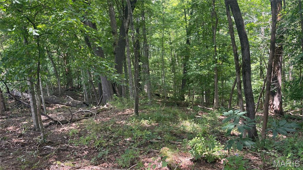 920 S Poplar Camp Road Property Photo 37