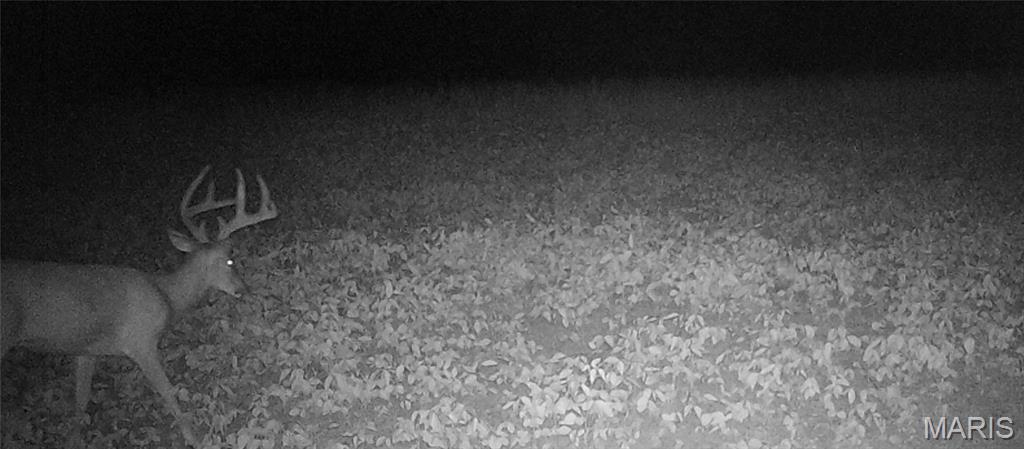 920 S Poplar Camp Road Property Photo 55
