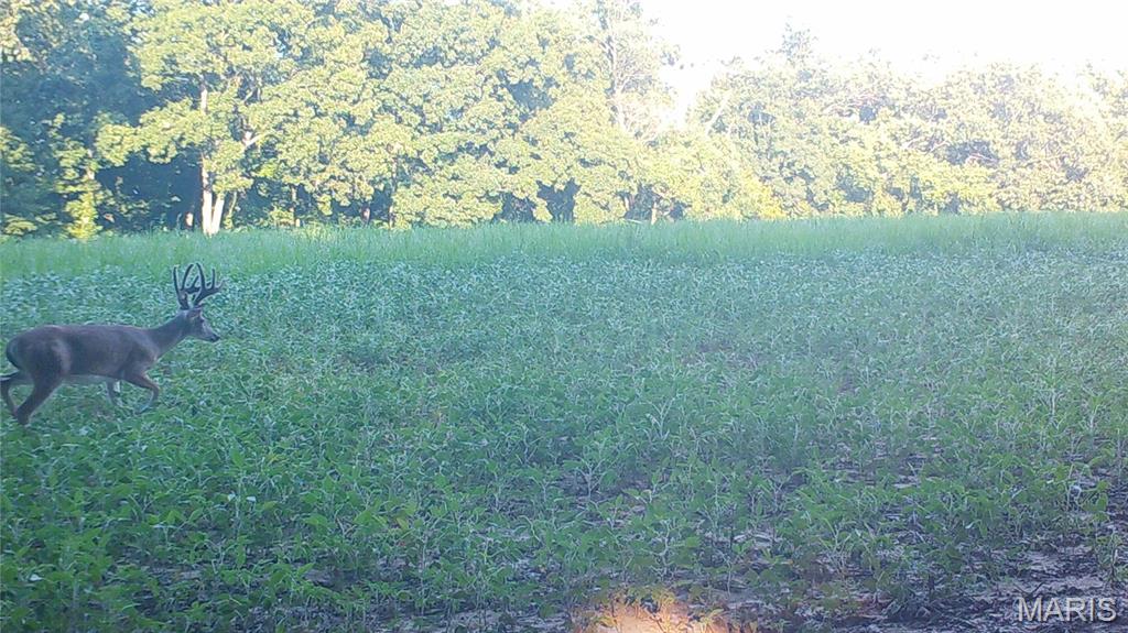 920 S Poplar Camp Road Property Photo 59