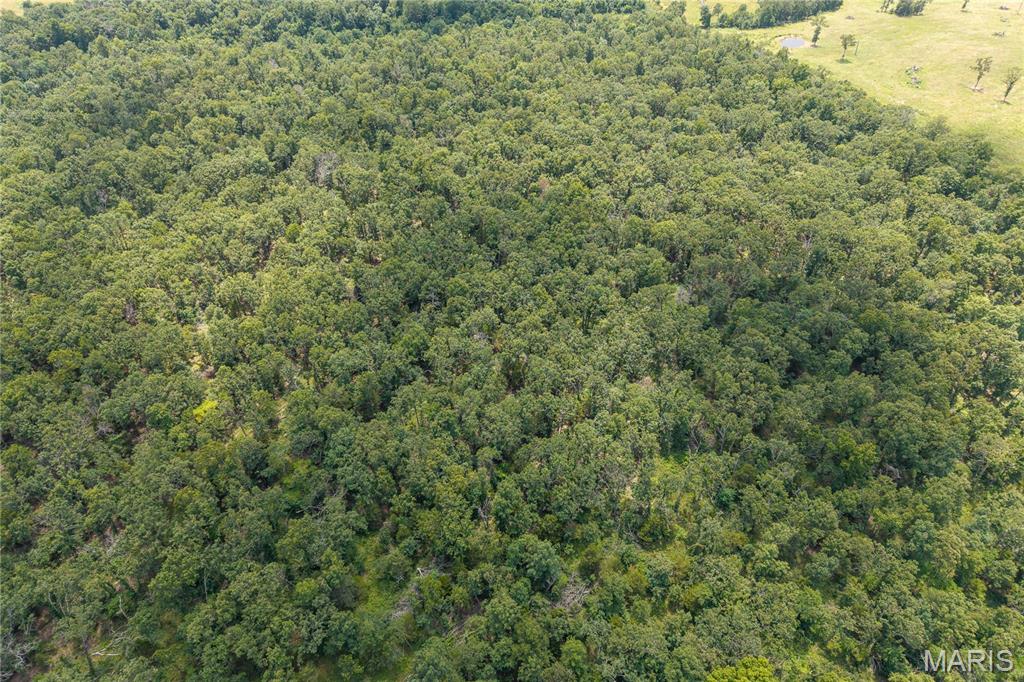 Tract 2 Keepsake Road Property Photo 17