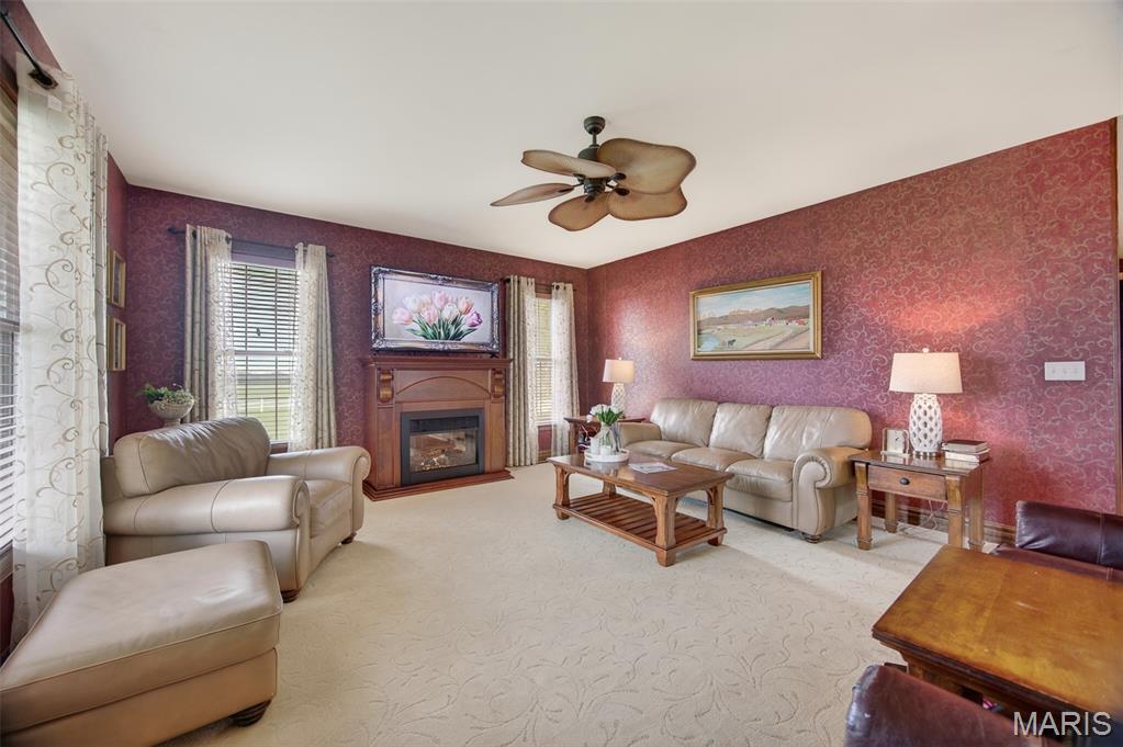 11447 Highway D Property Photo 36