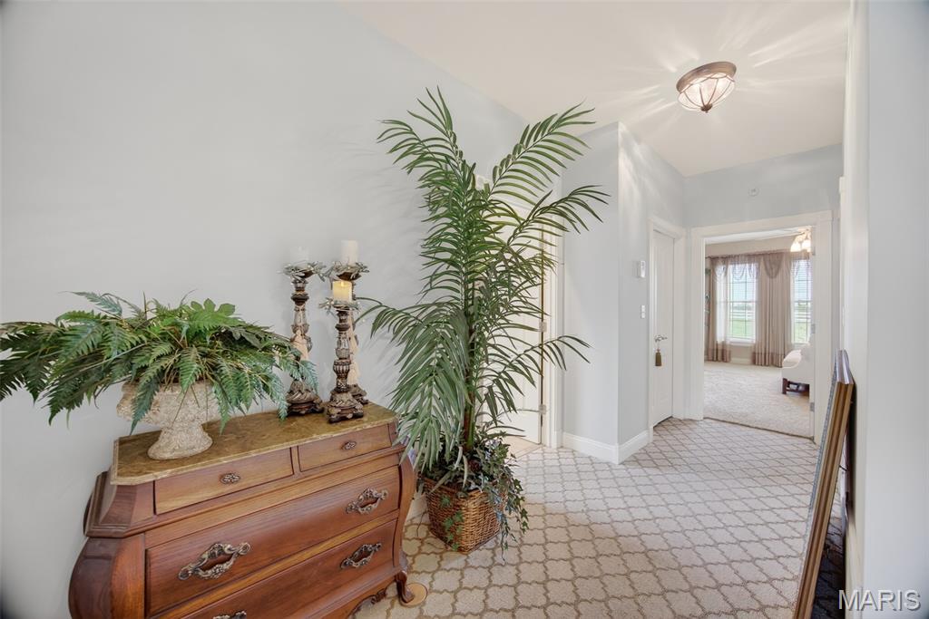 11447 Highway D Property Photo 51