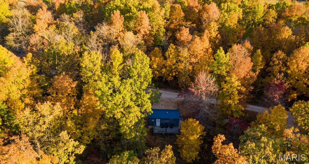 17720 County Road 504 Property Photo 5