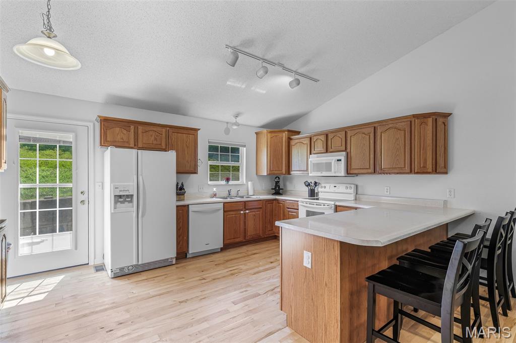 1252 Denali Drive Property Photo 2