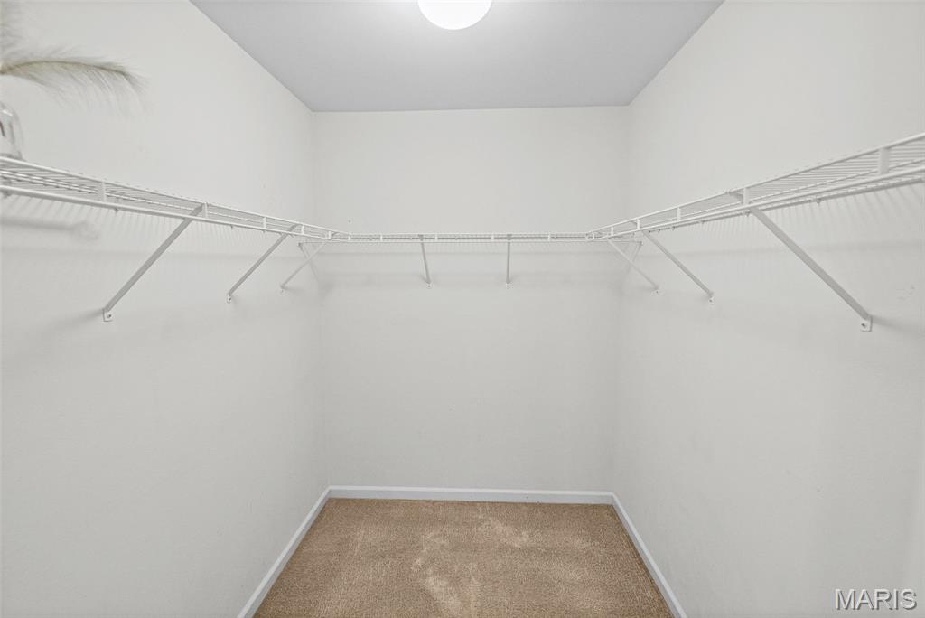 2544 Wintercreek Drive Property Photo 27