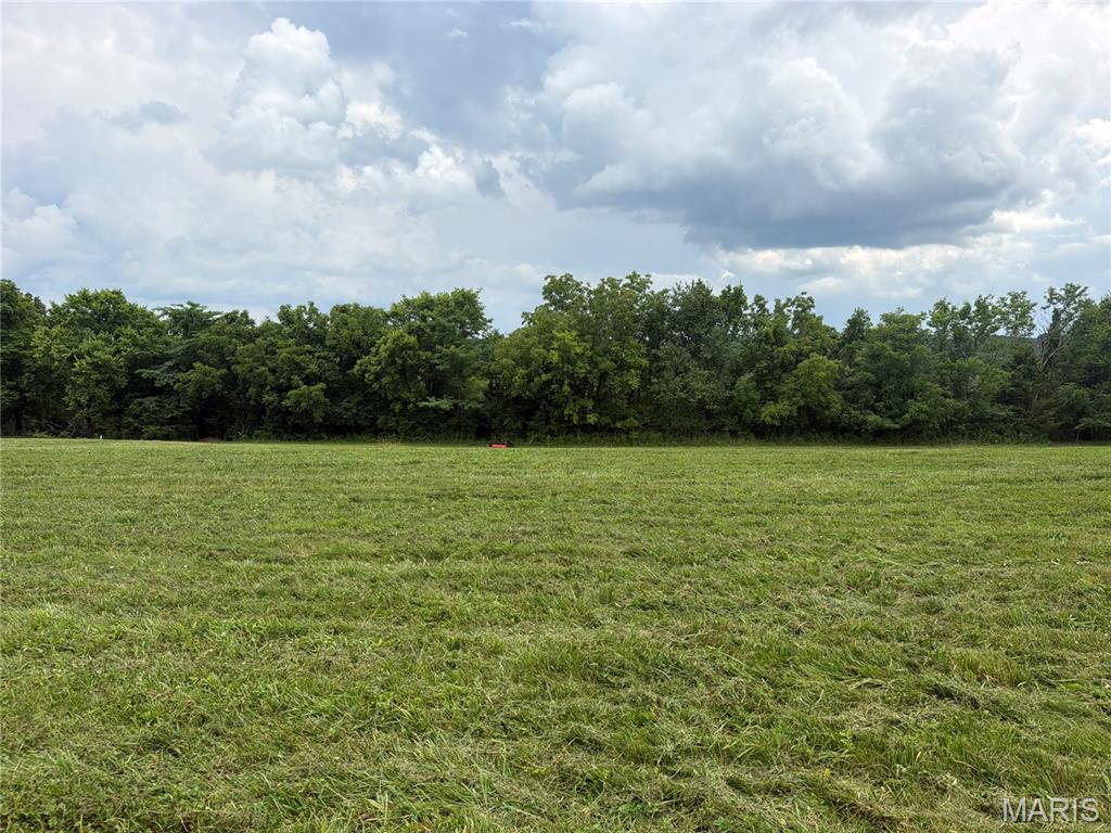 210 Jenna Lee Drive Property Photo 4