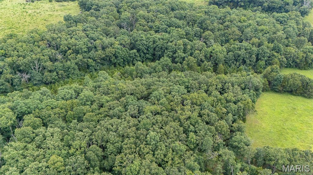 5293 Highway O Property Photo 43