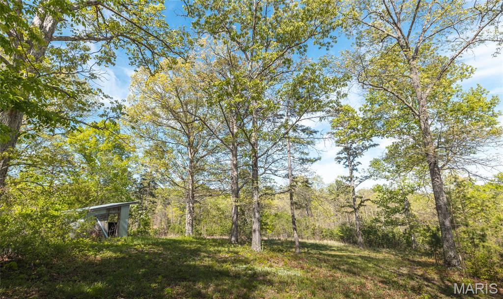 11090 Highway K Property Photo 44