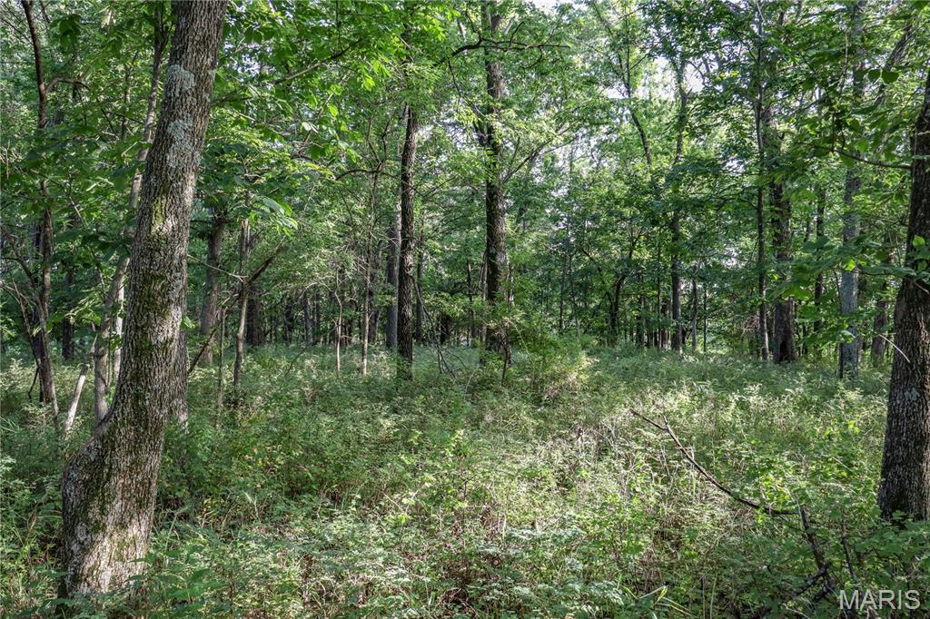 4514 County Road 172 Property Photo 29