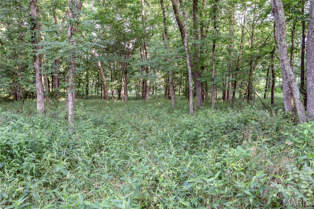 4514 County Road 172 Property Photo 32