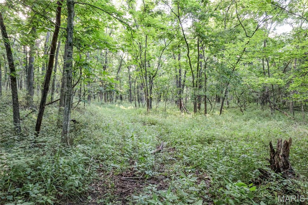 4514 County Road 172 Property Photo 41