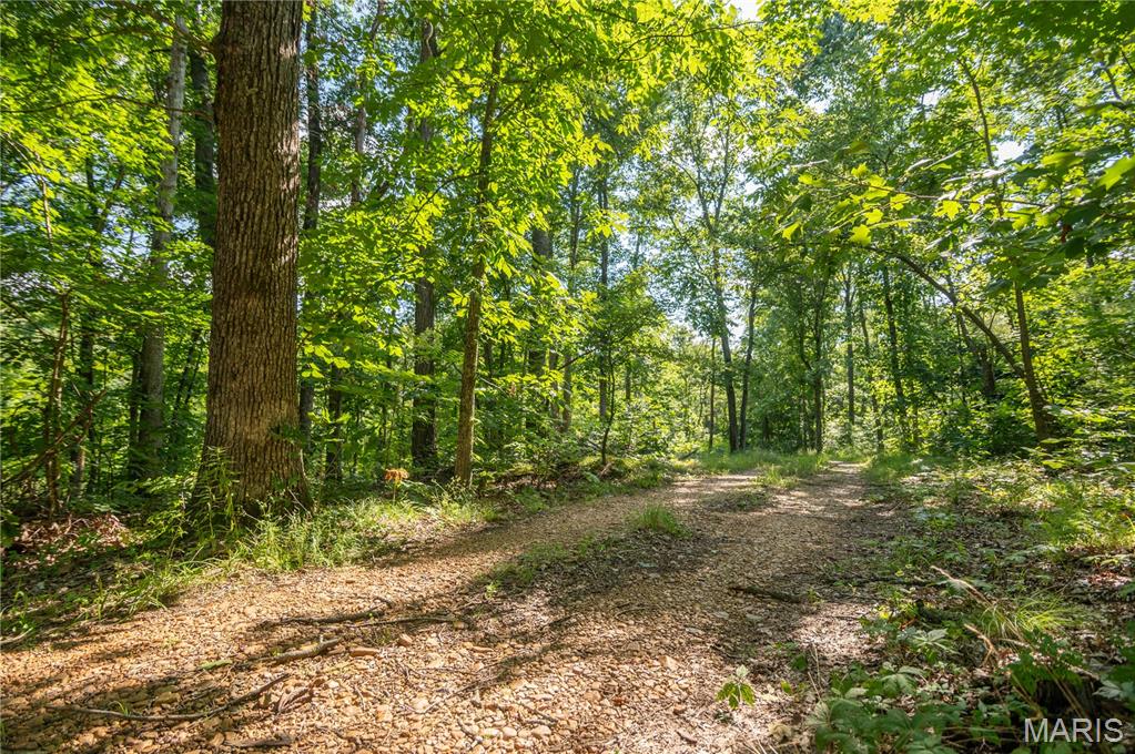 17340 County Road 252 Property Photo 40